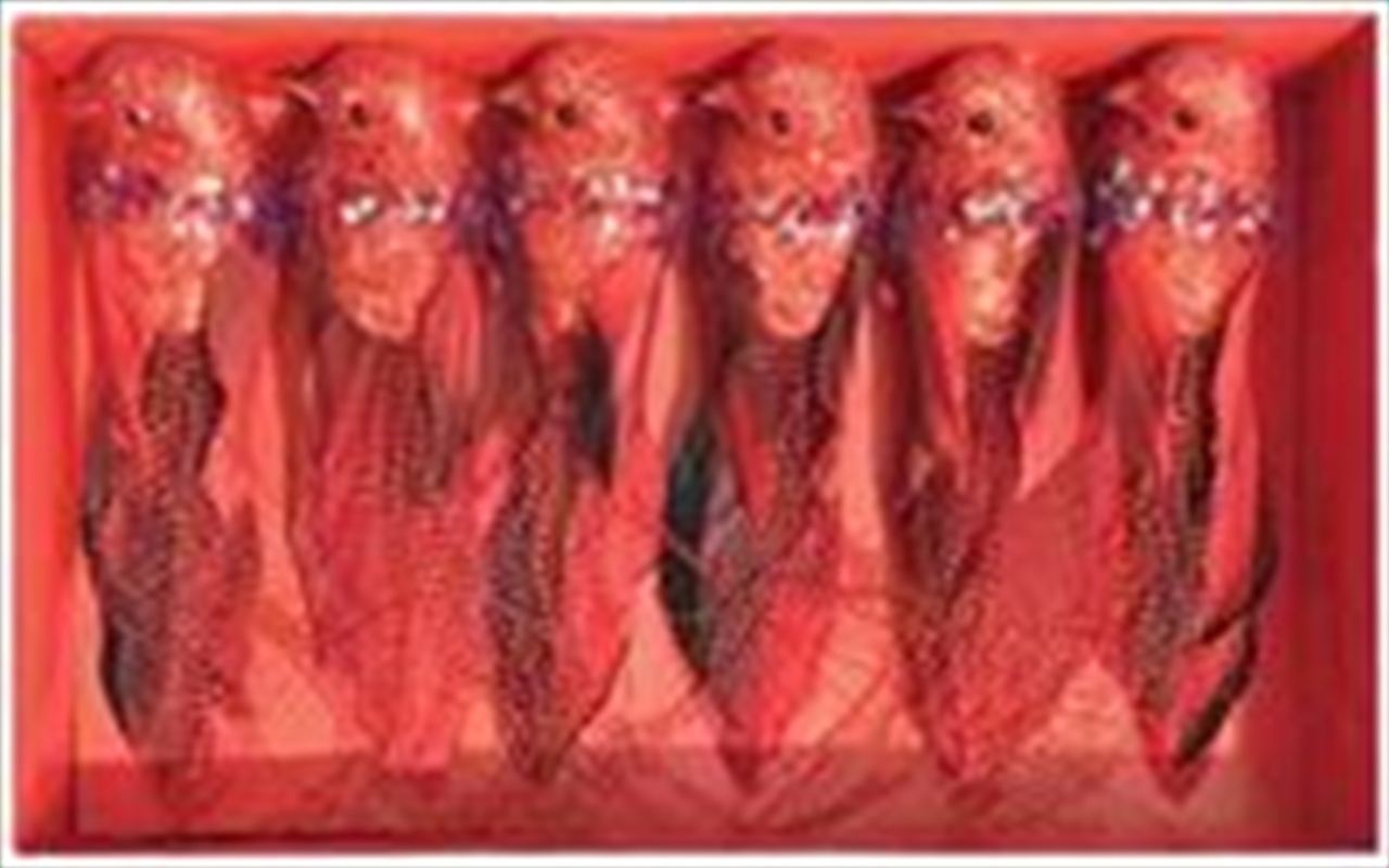 Christmas Clip 6Pk Bird Dec Red/Product Detail/Decor