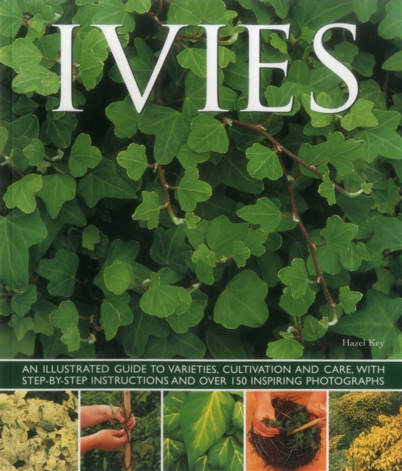 Ivies/Product Detail/Gardening