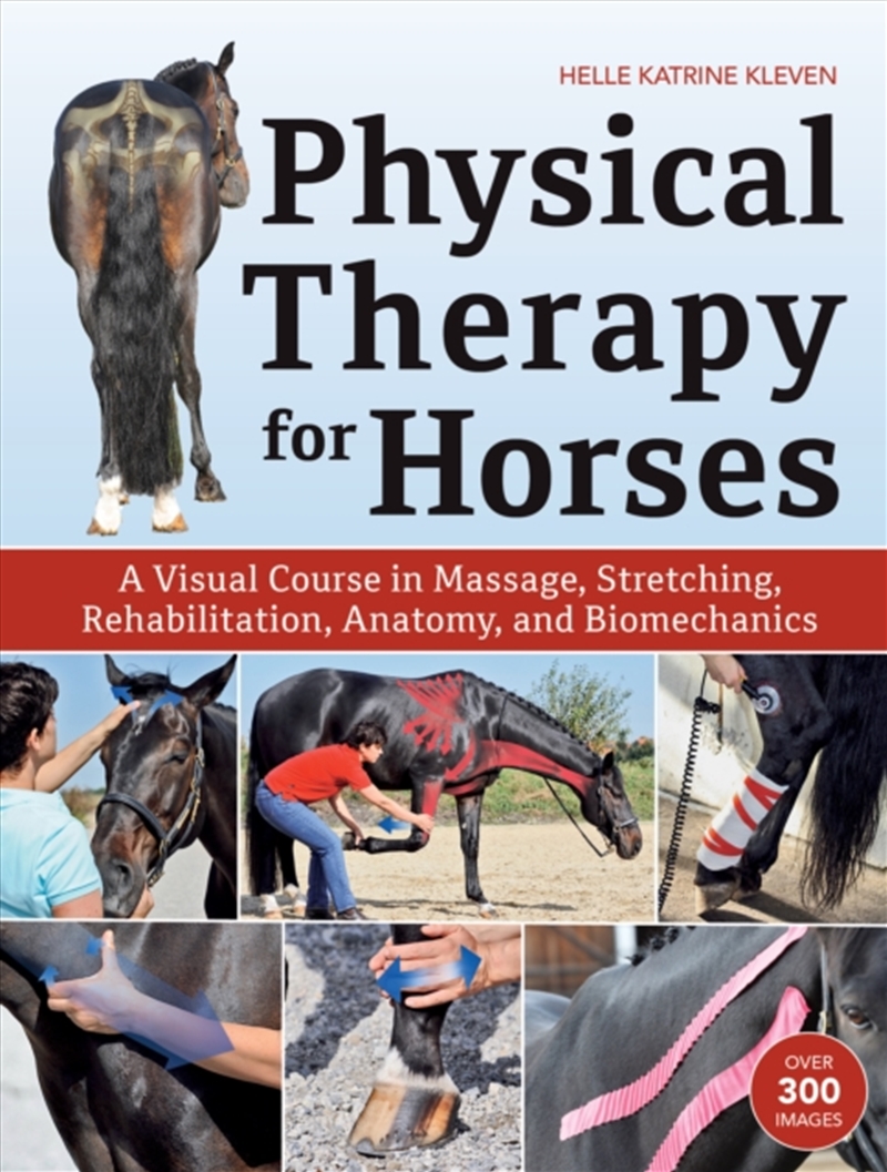 Physical Therapy For Horses : A Visual Course In Massage, Stretching, Rehabilitation, Anatomy, And B/Product Detail/Sport & Recreation