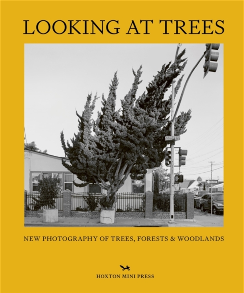 Looking At Trees : New Photography Of Trees, Forests & Woodlands/Product Detail/Photography