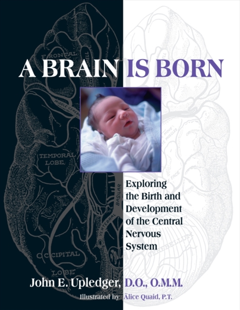 A Brain Is Born : Exploring The Birth And Development Of The Central Nervous System/Product Detail/Healthcare