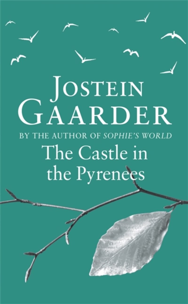 The Castle In The Pyrenees/Product Detail/General Fiction Books