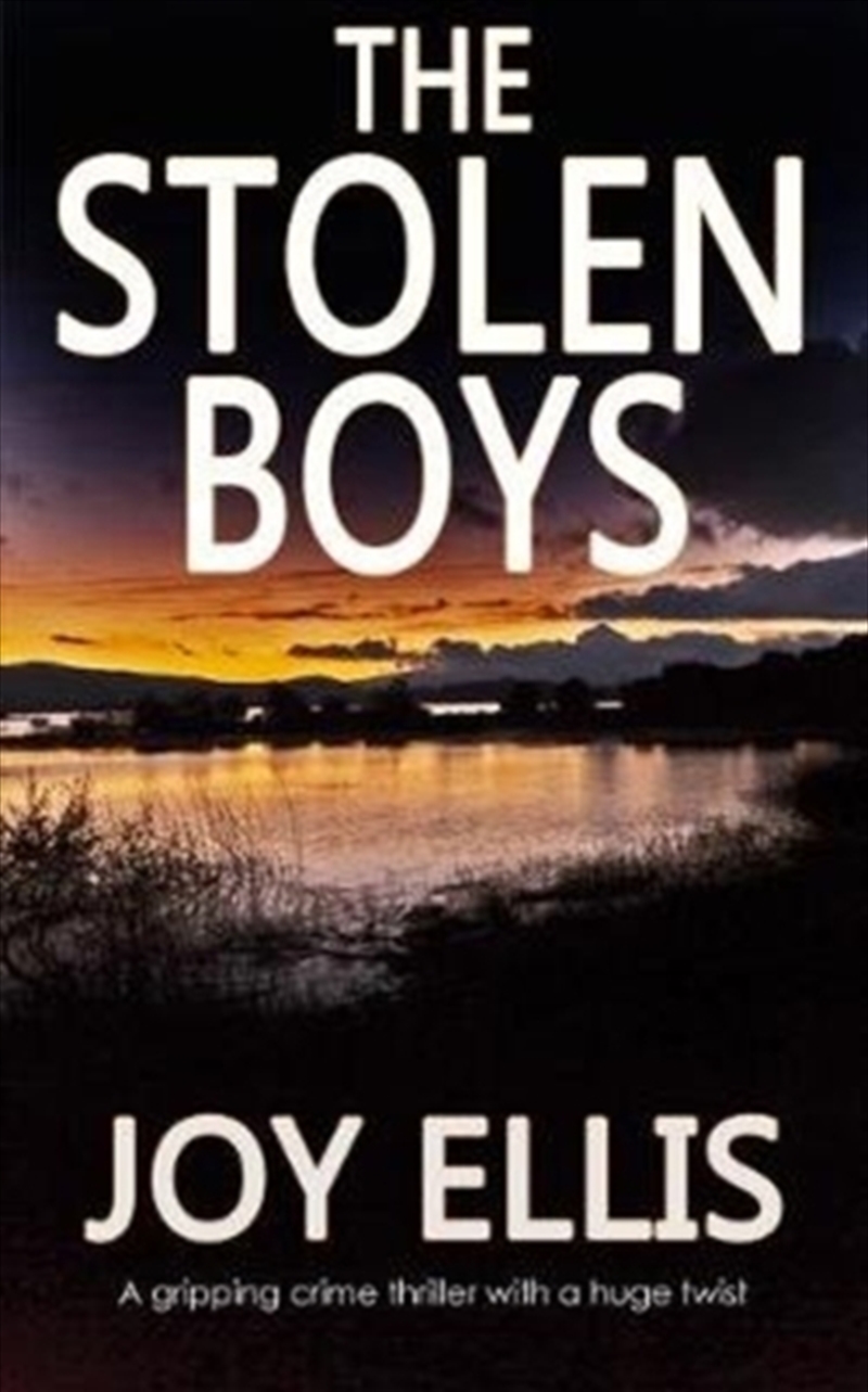 The Stolen Boys/Product Detail/General Fiction Books
