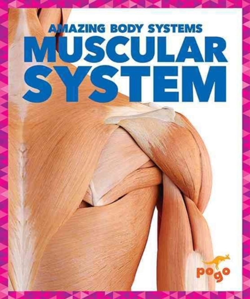 Muscular System/Product Detail/Children