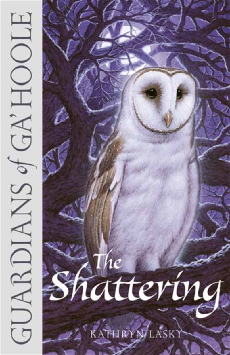 The Shattering/Product Detail/Childrens Fiction Books
