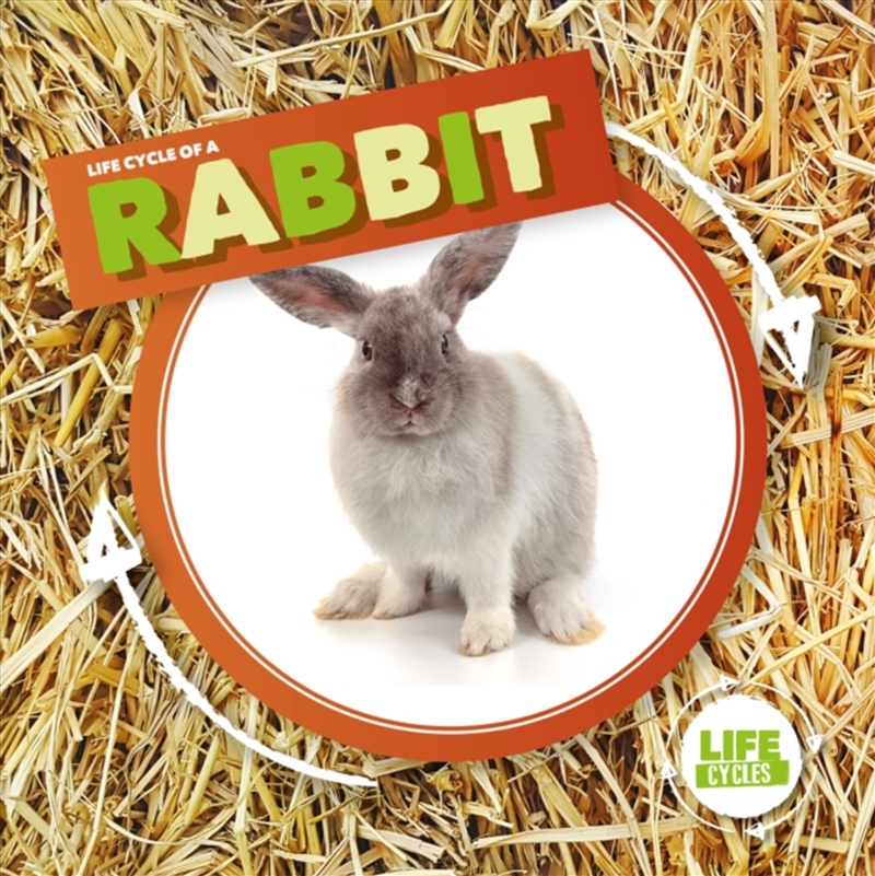 Rabbit/Product Detail/Kids Educational