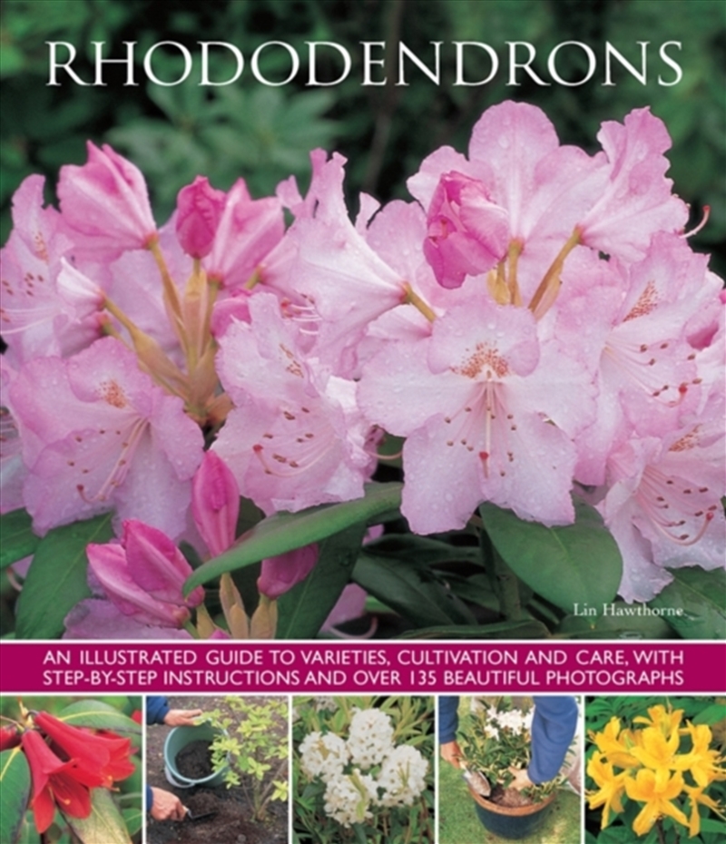 Rhododendrons/Product Detail/Gardening