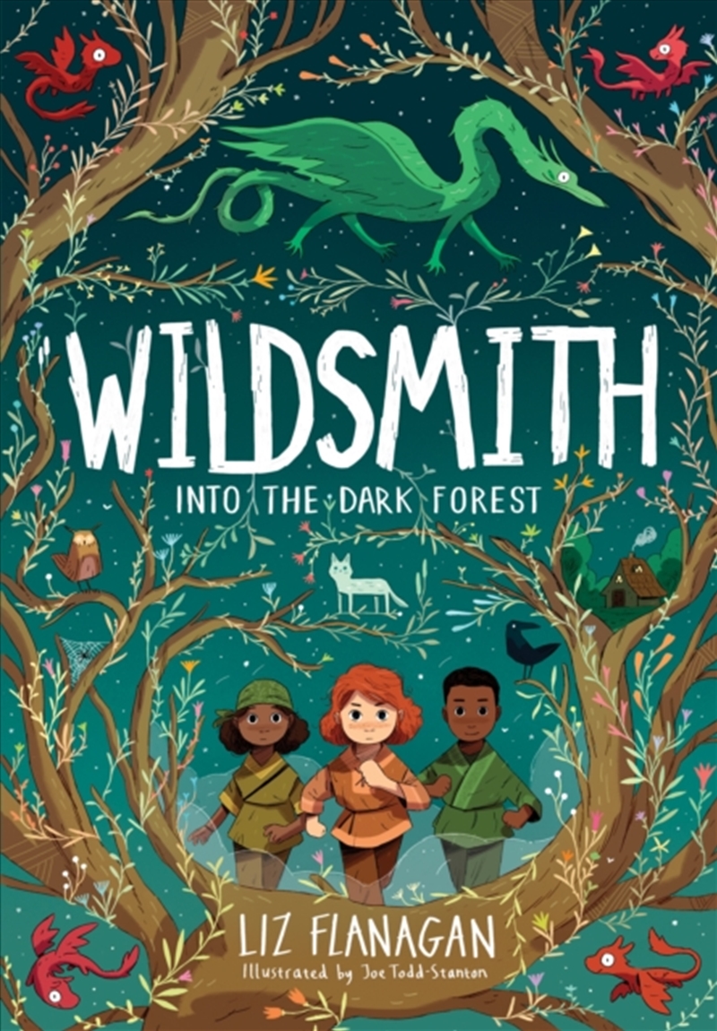 Into The Dark Forest : The Wildsmith #1/Product Detail/Childrens Fiction Books