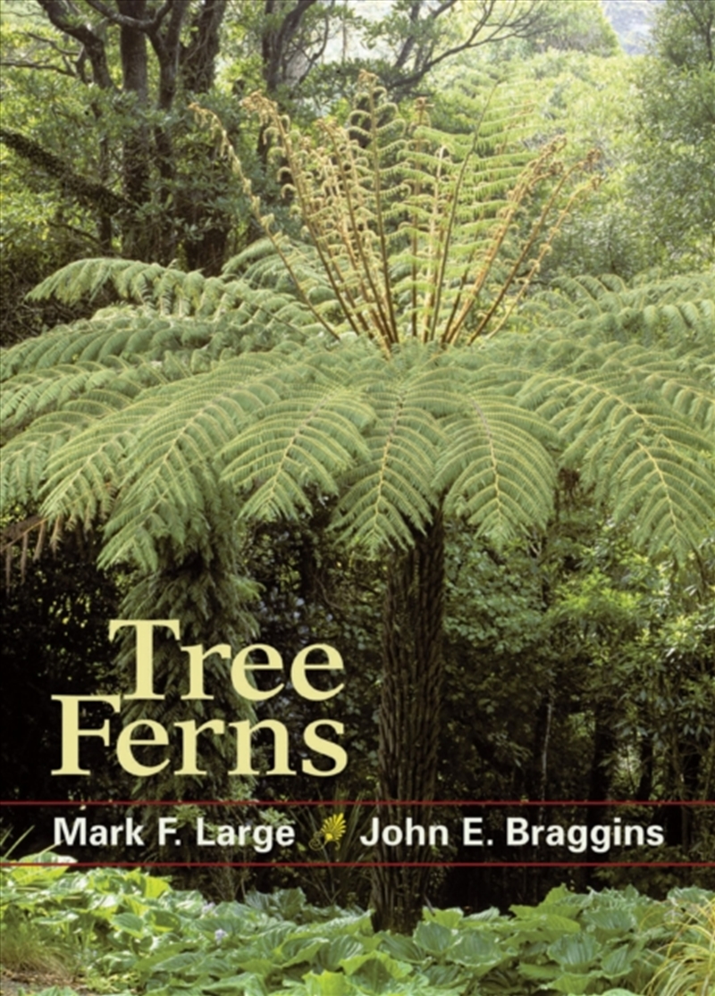Tree Ferns/Product Detail/Gardening