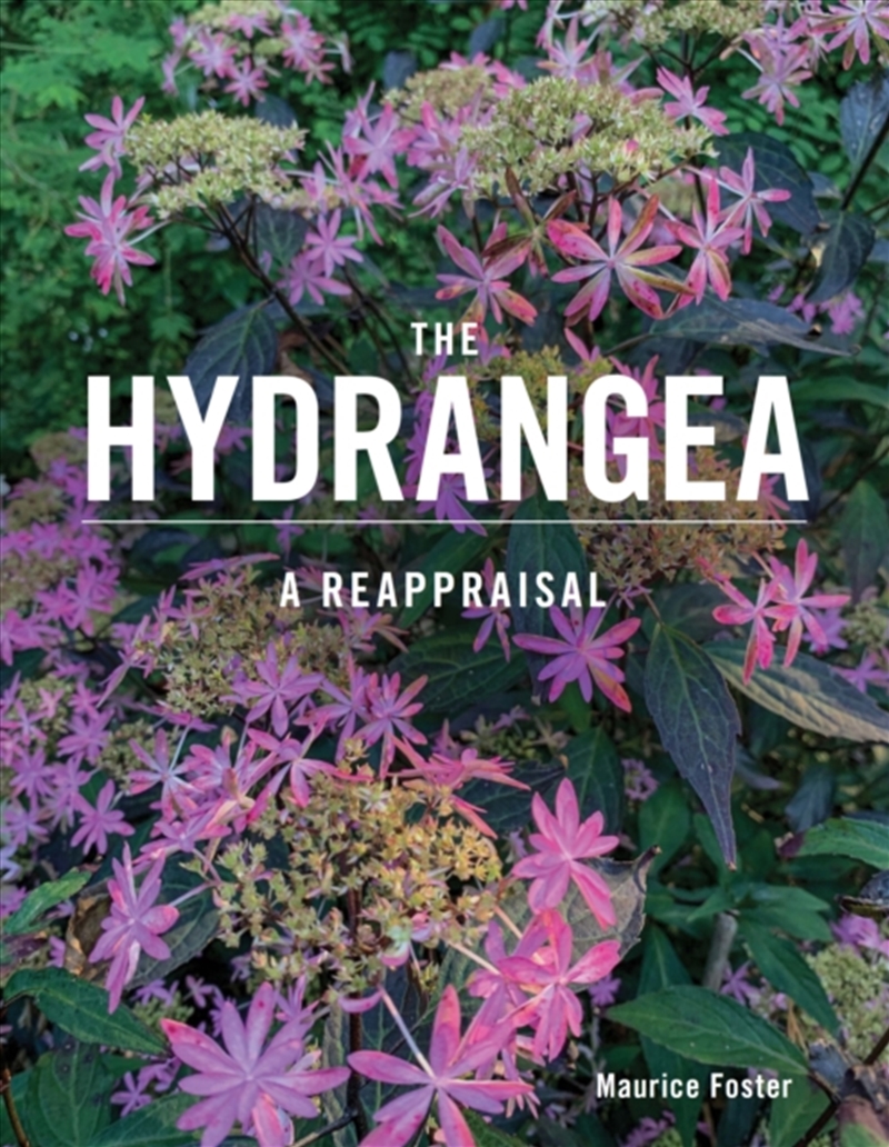 The Hydrangea : A Reappraisal/Product Detail/Gardening