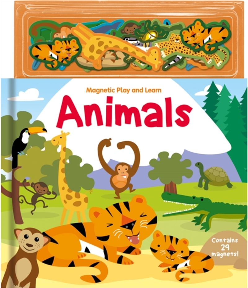 Magnetic Play And Learn Animals/Product Detail/Kids Activity Books