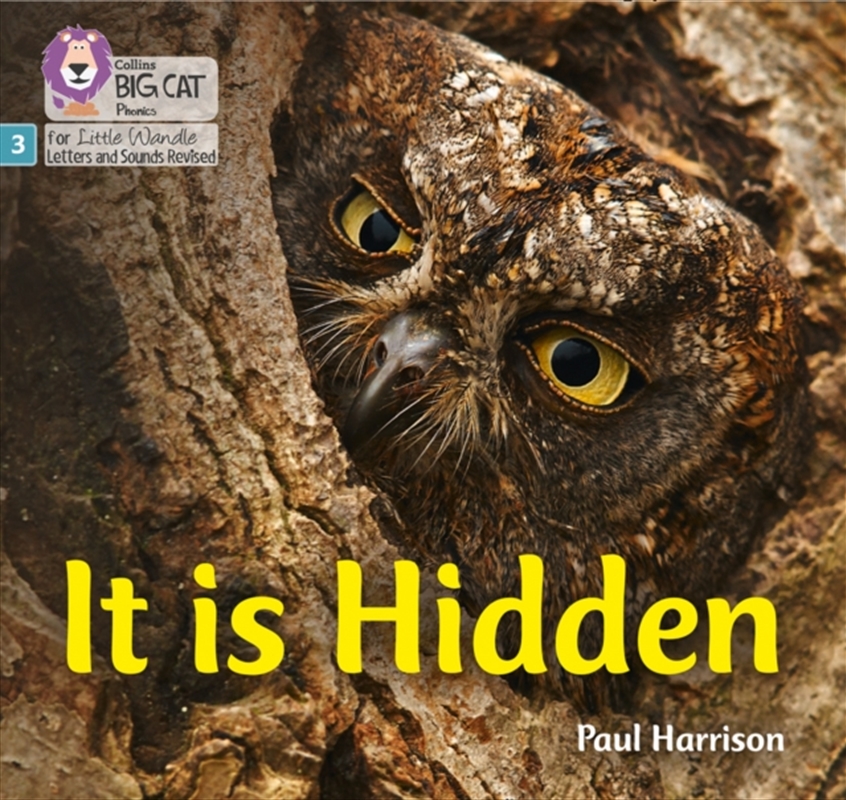 It Is Hidden : Phase 3 Set 2/Product Detail/Kids Educational