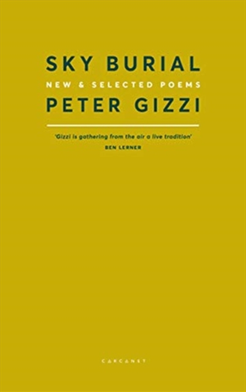 Sky Burial : New And Selected Poems/Product Detail/Poetry