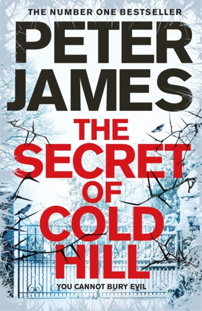 The Secret Of Cold Hill/Product Detail/Thrillers & Horror Books