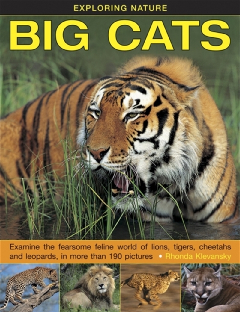 Exploring Nature: Big Cats/Product Detail/Animals & Nature