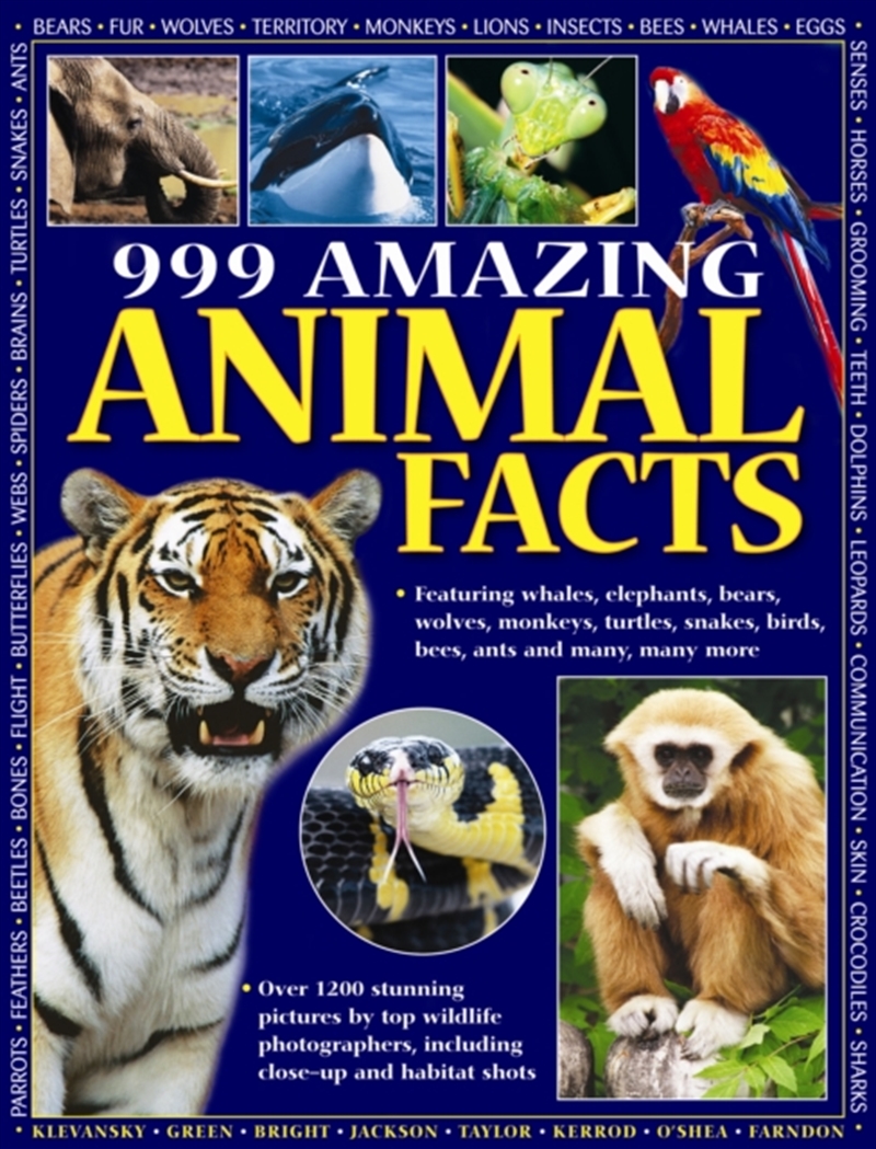 999 Amazing Animal Facts/Product Detail/Animals & Nature