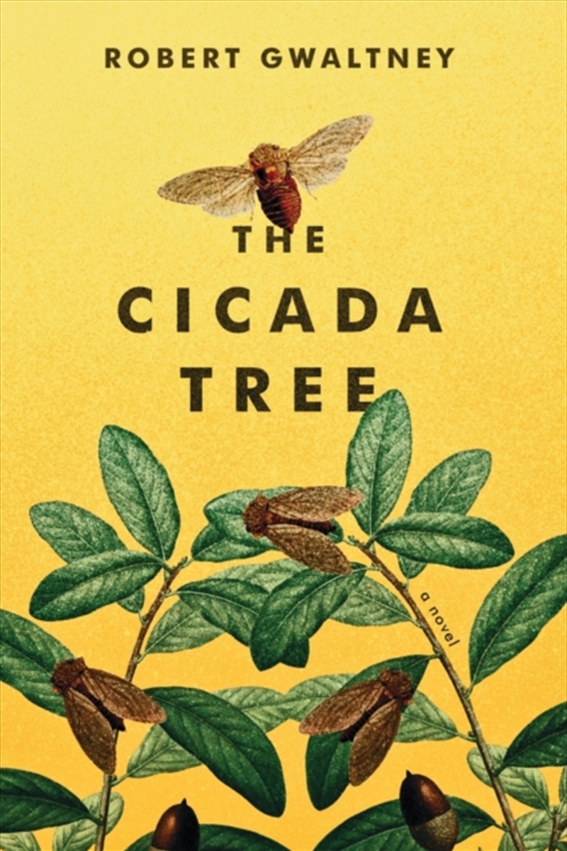 The Cicada Tree/Product Detail/Romance