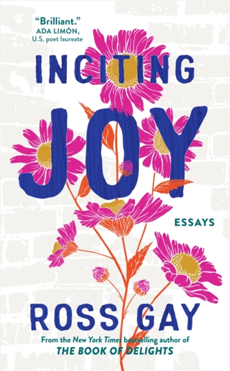 Inciting Joy : Essays/Product Detail/Literature & Poetry
