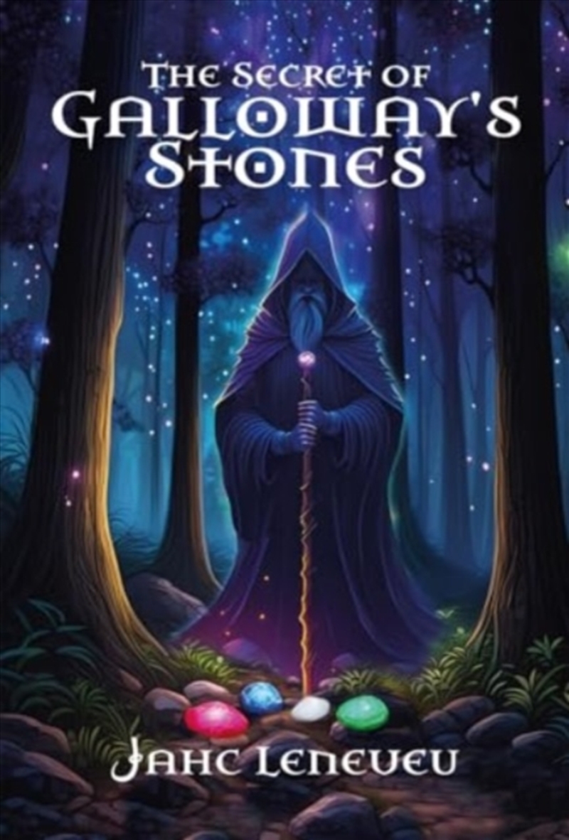 The Secret Of Galloway's Stones/Product Detail/Young Adult Fiction