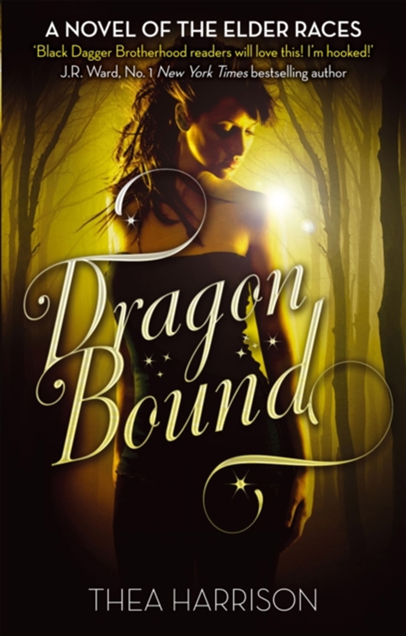 Dragon Bound : Number 1 In Series/Product Detail/Thrillers & Horror Books