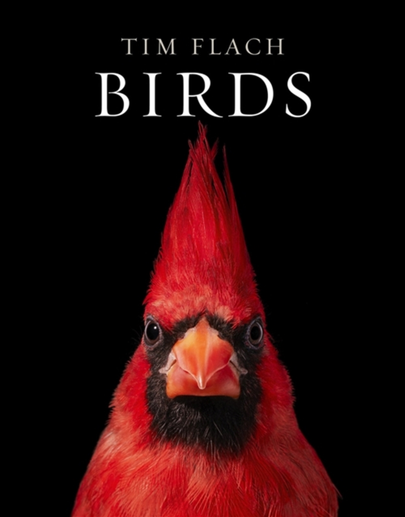 Birds/Product Detail/Photography