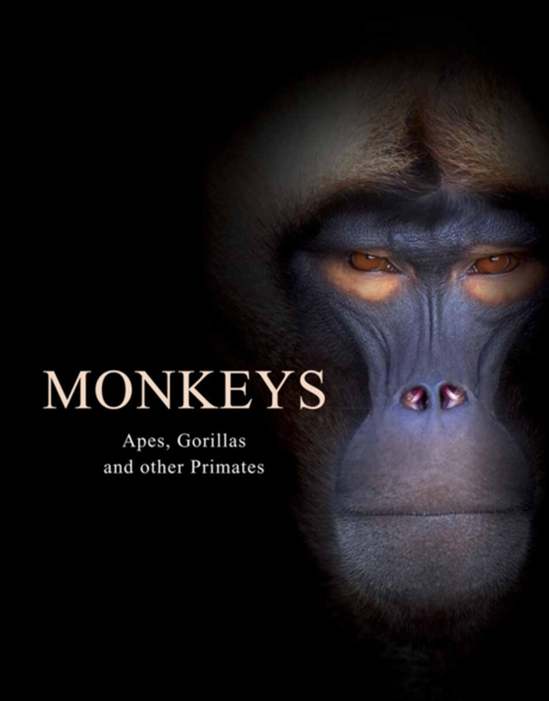 Monkeys : Apes, Gorillas And Other Primates/Product Detail/Photography