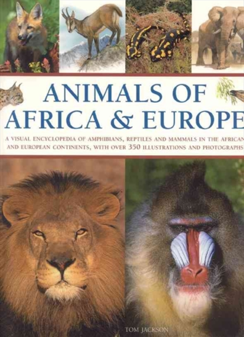 Animals Of Africa And Europe/Product Detail/Animals & Nature