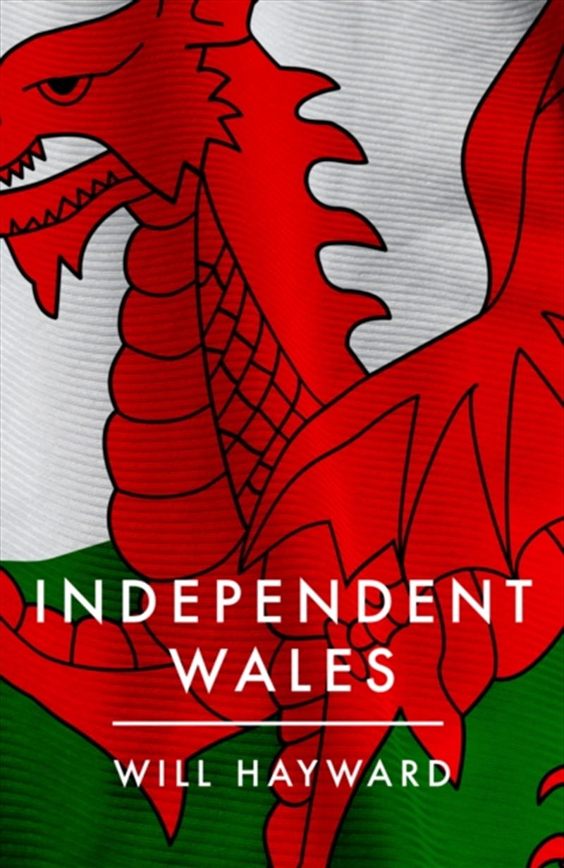 Independent Nation : Should Wales Leave The Uk?/Product Detail/Politics & Government