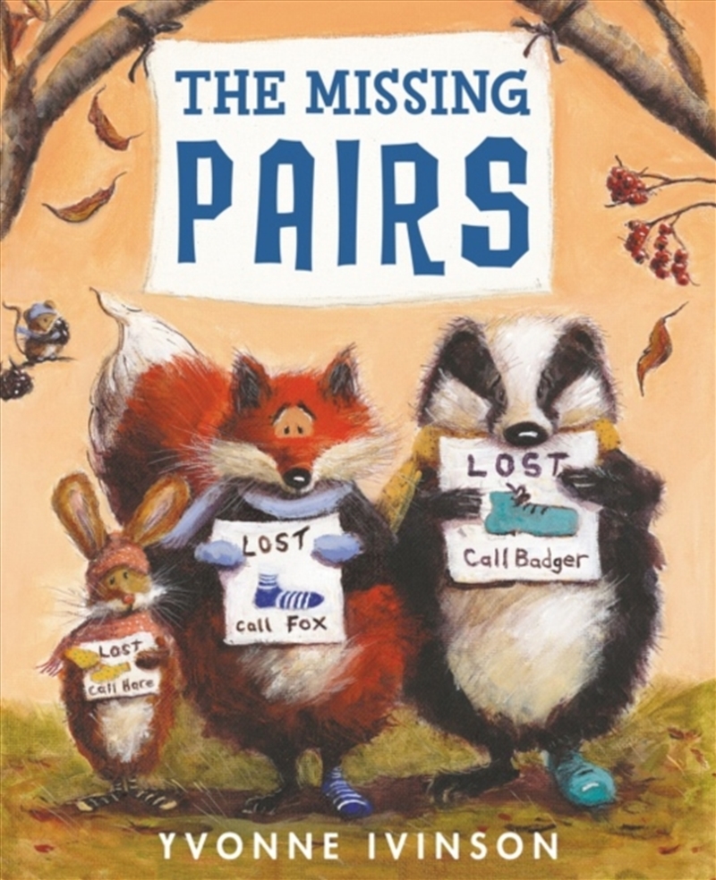 The Missing Pairs/Product Detail/Childrens Fiction Books
