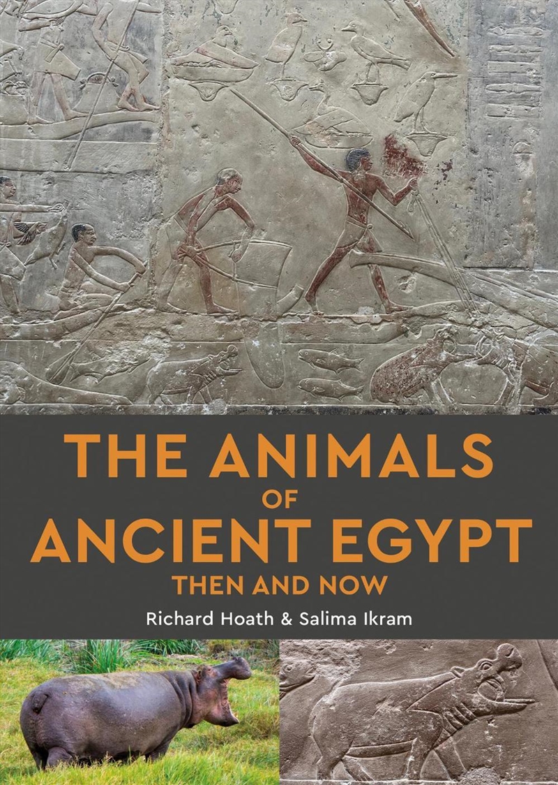 The Animals Of Ancient Egypt Then And Now/Product Detail/Religion & Beliefs