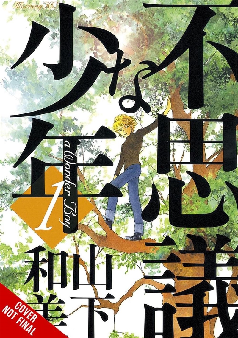 Wonder Boy, Vol. 1/Product Detail/Manga