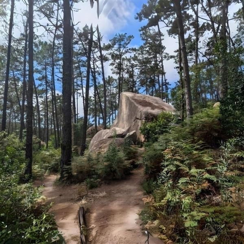 Parajekt/Product Detail/Dance