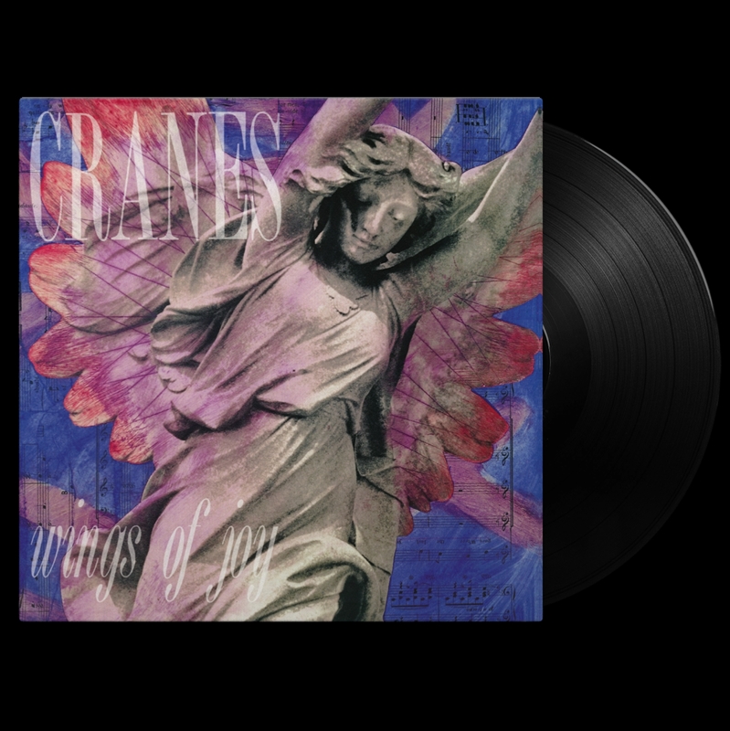 Wings Of Joy/Product Detail/Rock/Pop