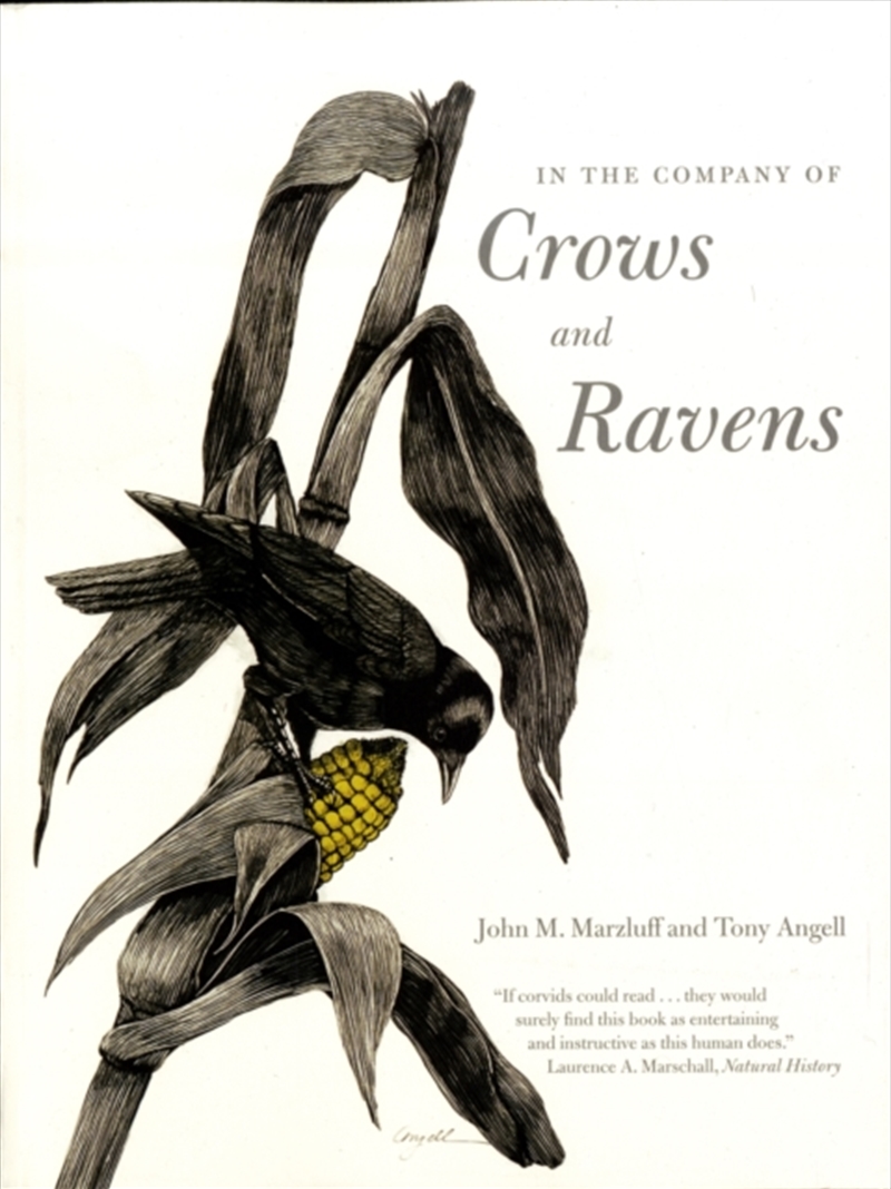 In The Company Of Crows And Ravens/Product Detail/Animals & Nature