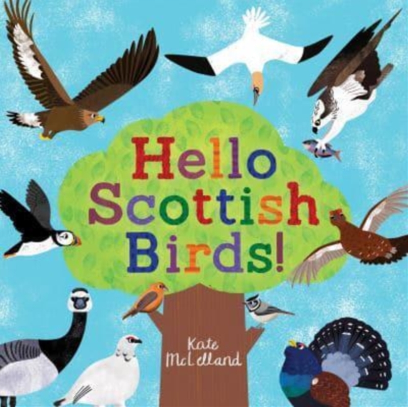 Hello Scottish Birds/Product Detail/Early Childhood Fiction Books