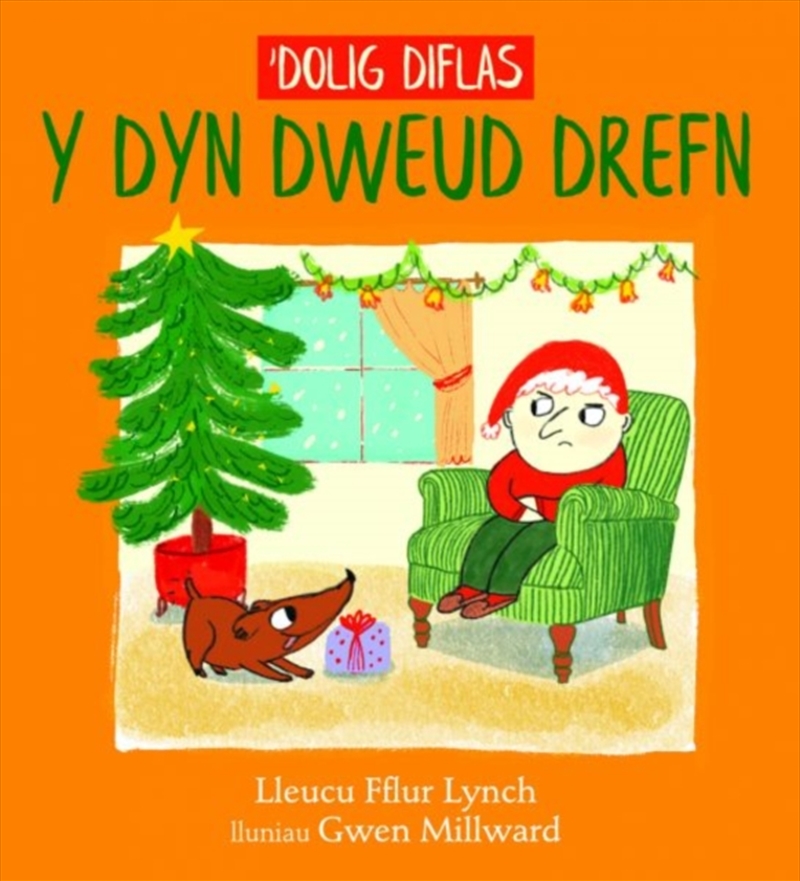 'dolig Diflas Y Dyn Dweud Drefn/Product Detail/Early Childhood Fiction Books