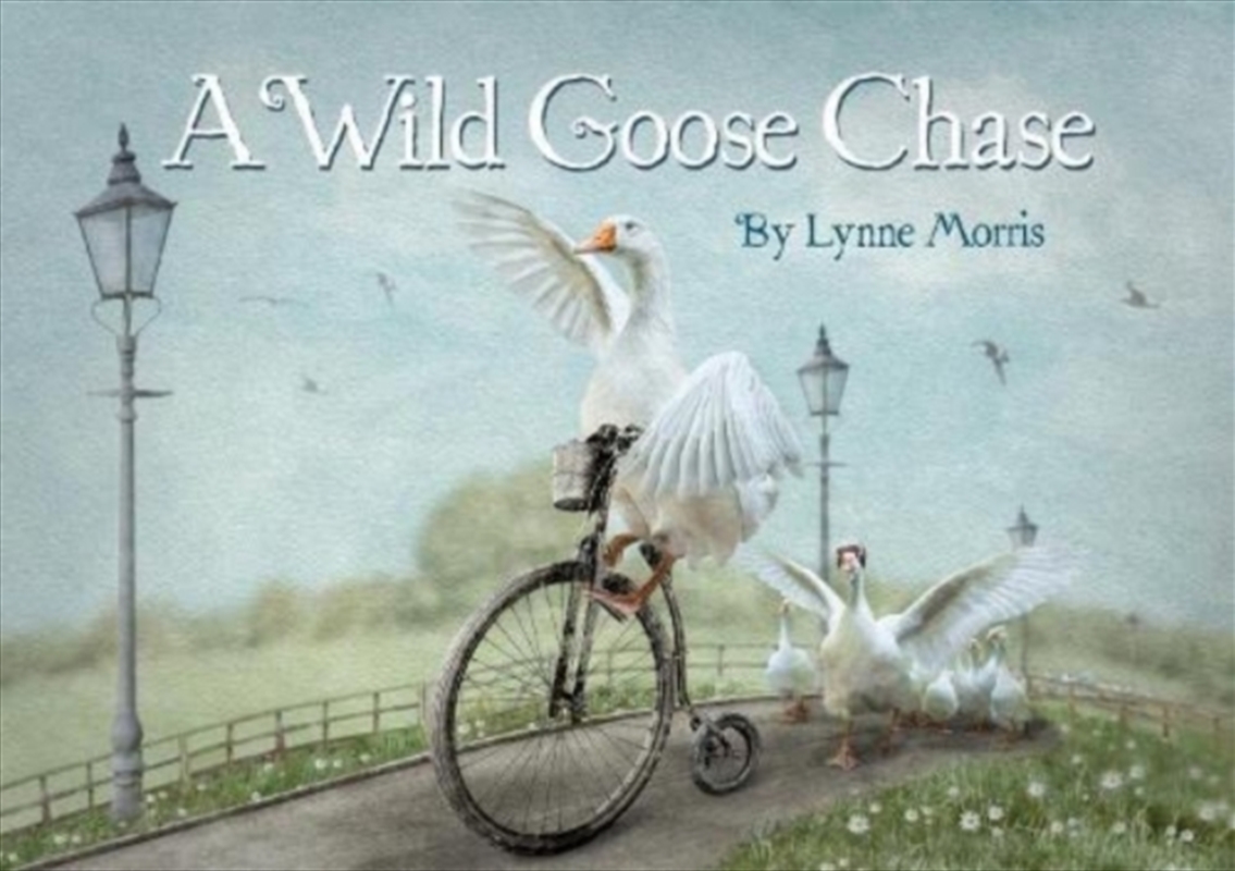 A Wild Goose Chase/Product Detail/Early Childhood Fiction Books