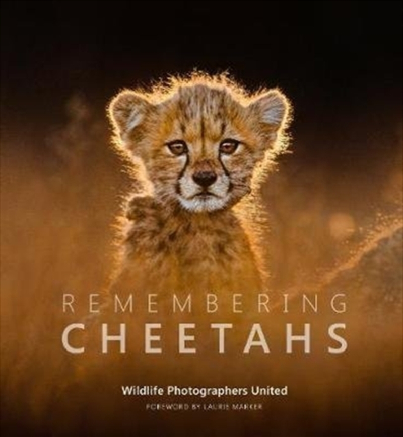 Remembering Cheetahs/Product Detail/Photography