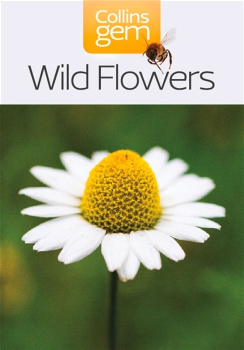 Wild Flowers/Product Detail/Animals & Nature