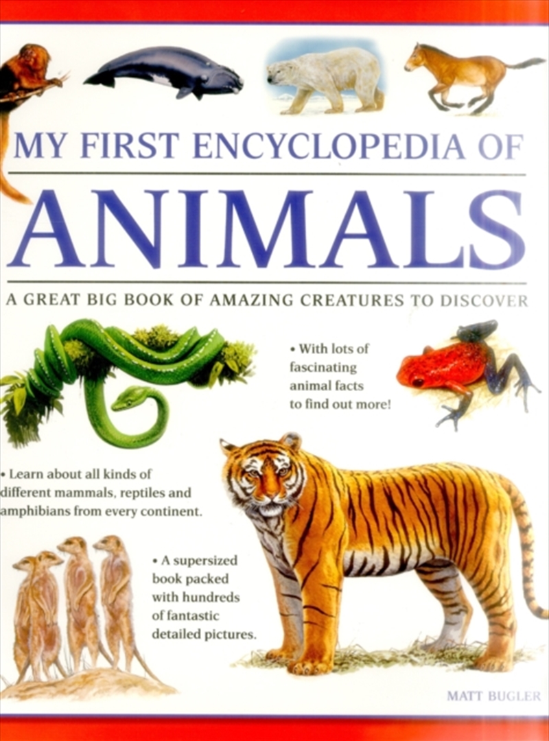 My First Encyclopedia Of Animals (Giant Size)/Product Detail/Children