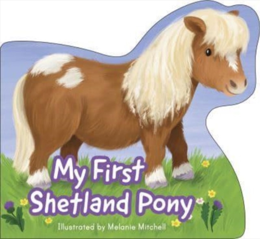 My First Shetland Pony/Product Detail/Early Childhood Fiction Books