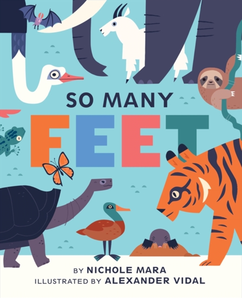 So Many Feet/Product Detail/Early Childhood Fiction Books
