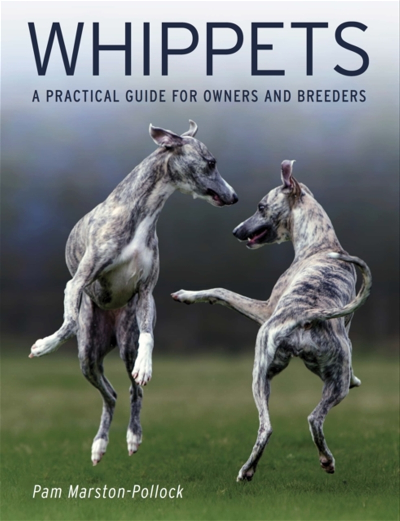 Whippets : A Practical Guide For Owners And Breeders/Product Detail/Animals & Nature