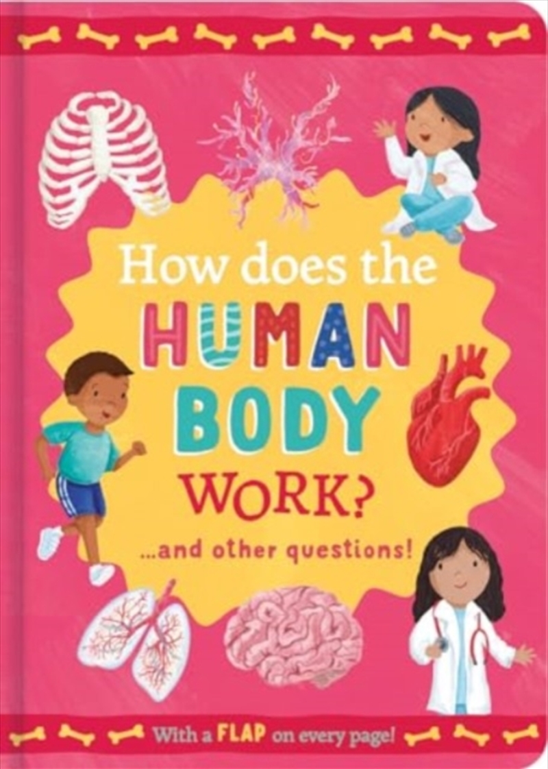 How Does The Human Body Work? : And Other Questions/Product Detail/Early Childhood Fiction Books
