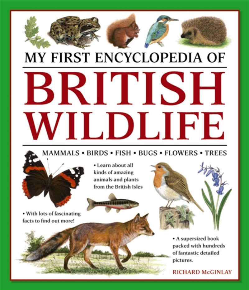 My First Encyclopedia Of British Wildlife : Mammals, Birds, Fish, Bugs, Flowers, Trees/Product Detail/Childrens