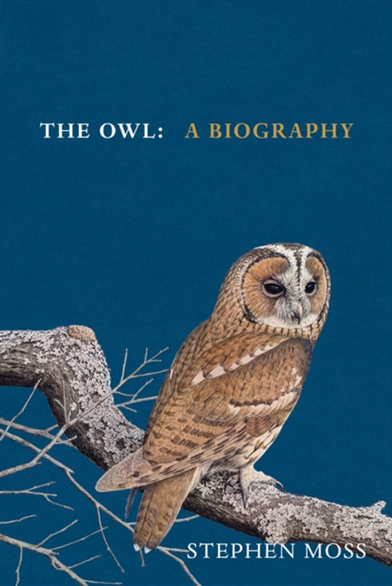 The Owl : A Biography/Product Detail/Animals & Nature