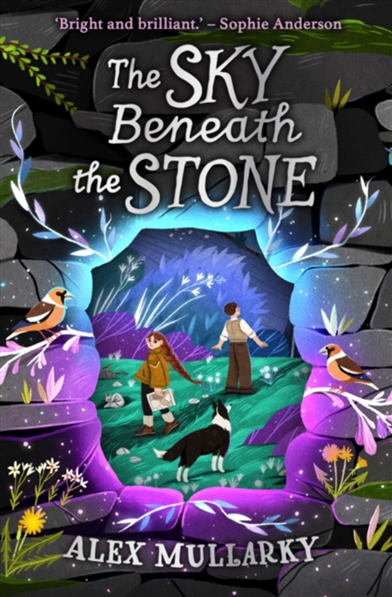The Sky Beneath The Stone/Product Detail/Childrens Fiction Books