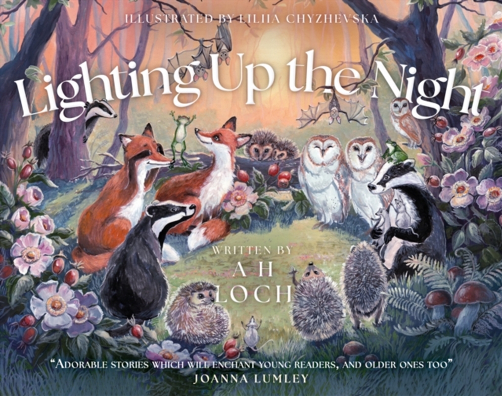 Lighting Up The Night/Product Detail/Childrens Fiction Books