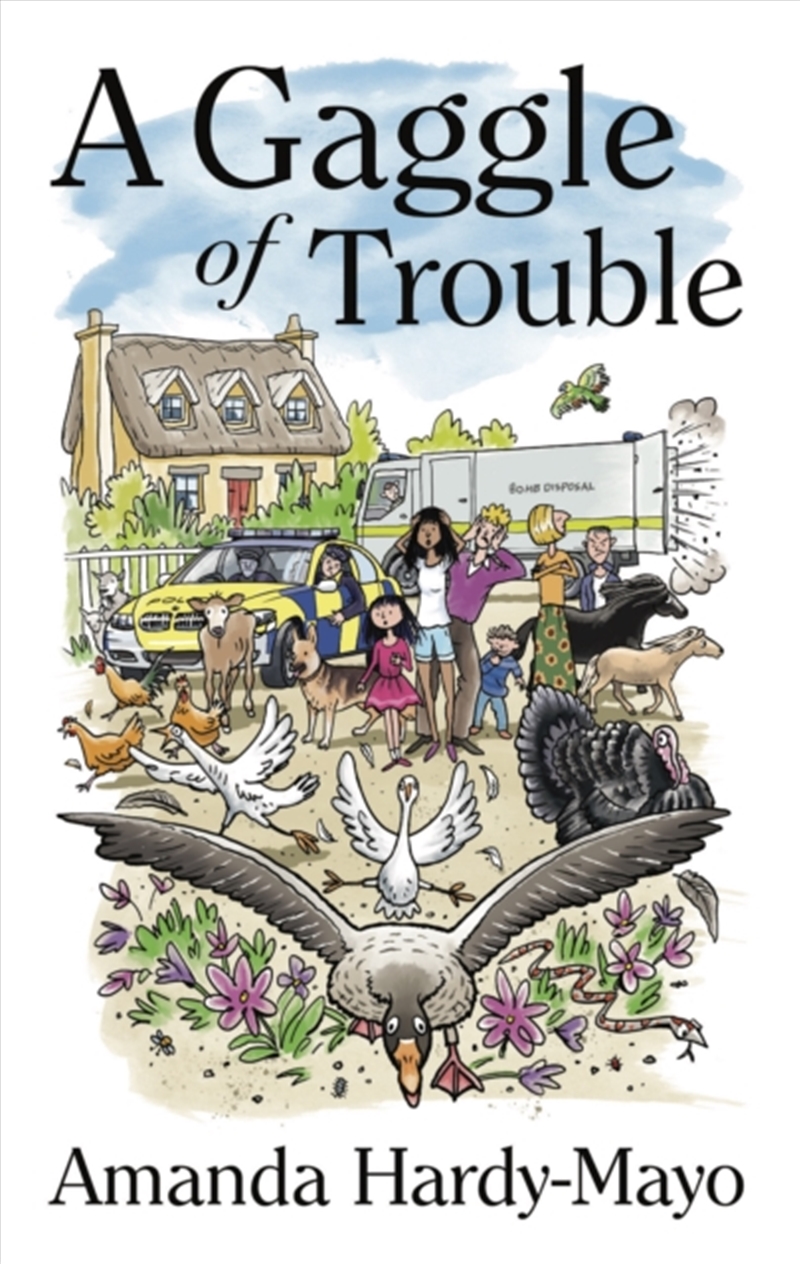 A Gaggle Of Trouble/Product Detail/Childrens Fiction Books