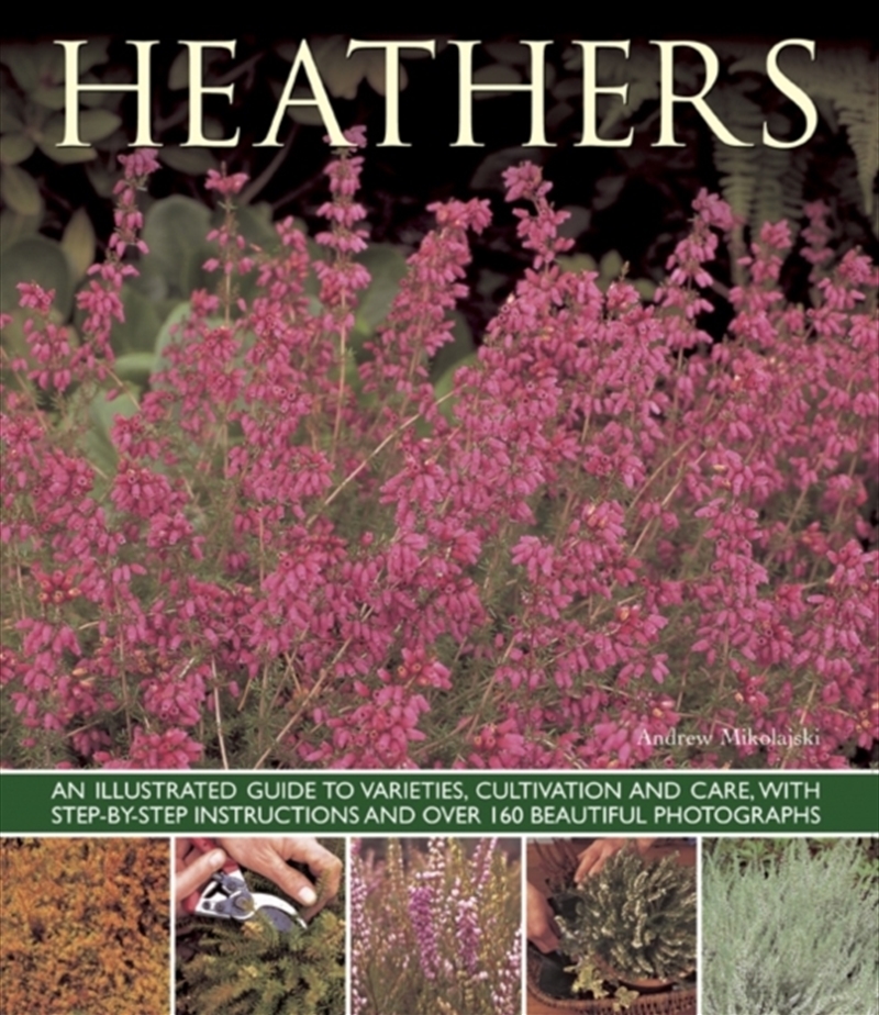 Heathers : An Illustrated Guide To Varities, Cultivation And Care, With Step-By-Step Instructions An/Product Detail/Animals & Nature